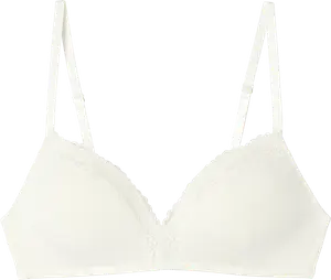 SOUTIEN-GORGE AVEC COQUES ZERO TEINTURE BAMBOU - STEFFY