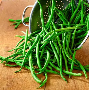 Haricot vert