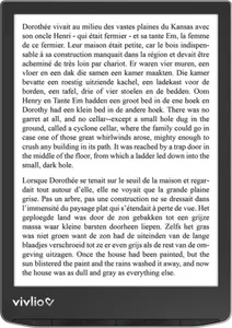 LISEUSE VIVLIO INKPAD 4 + L'EBOOK "TOUTE L'INFORTUNE DU MONDE"