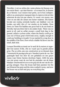 LISEUSE VIVLIO LIGHT HD + L'EBOOK "TOUTE L'INFORTUNE DU MONDE"