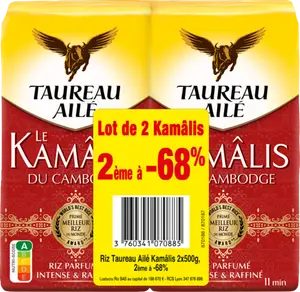 RIZ - TAUREAU AILÉ
