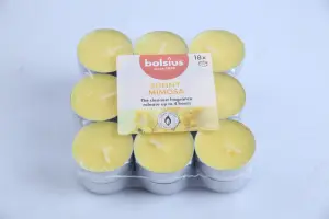 Pack de bougies parfumees bolsius senteur mimosa