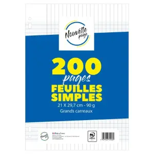 Feuilles mobiles perforées A4 Seyès 90 g 200 pages