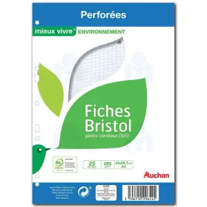 Fiches A4 bristol perforées petits carreaux 5x5 21x29,7cm x25 - AUCHAN
