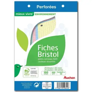 Fiches bristol perforées petits carreaux 5x5 14,8x21cm x100 - AUCHAN