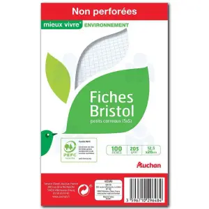 Fiches bristol perforées petits carreaux 5x5 12,5x20cm x100 - AUCHAN