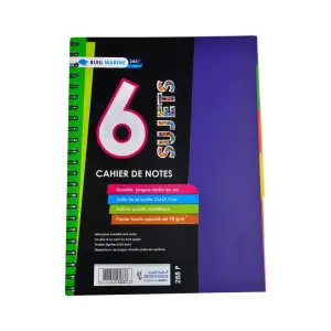 Cahier université 6 sujets A4 288 pages 5x5 70g polypro