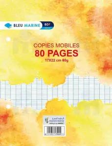 Feuilles simples blanches grands carreaux 80p 17x22cm 60g - BLEU MARINE