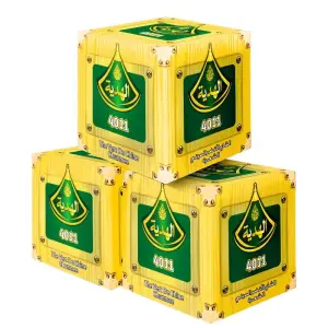 Tboites de thé vert en filaments3 x200g - LAHDIA