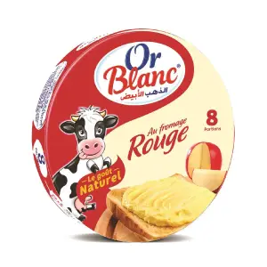 Fromage fondu à l'edam 8 portions - OR BLANC