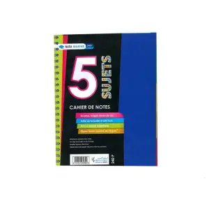 Cahier université 5 sujets A4 240 pages 5x5 70g polypro