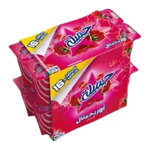 Yaourt à boire au jus de grenadine 16x165g - RAÏBI JAMILA