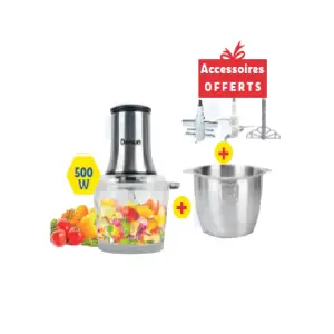 Hachoir 3L 500W 2BOLS 2ACCS FC423CB - DENWA