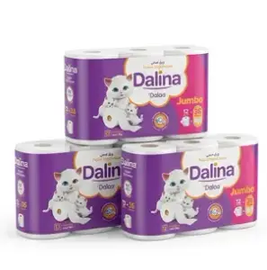 12 rouleaux de papier toilette compact XL 2plis - DALAA
