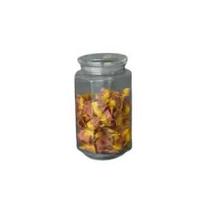 Bocal de rangement en verre avec couvercle en verre