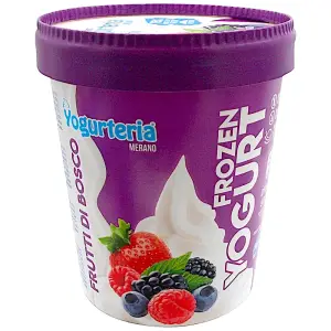 Yogurteria Merano yaourt glacé fruits des bois sans lactose 500ml