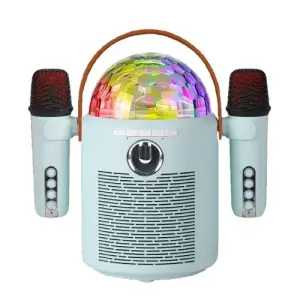 Enceinte bluetooth 2MICS 10W MF109351 - CITYTEK