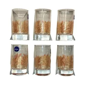 6 verre à thé décoré island 15 cl argente