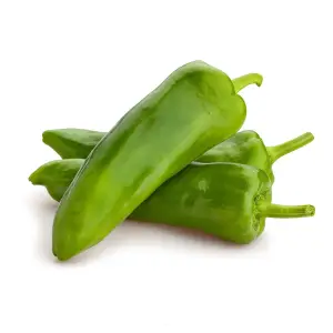 Poivron vert 500g - FILIERE M