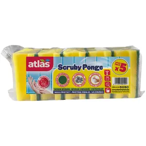 Éponges abrasives scruby protect nails x5 - ATLALS