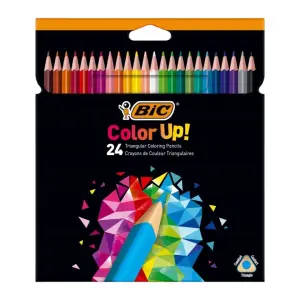 Crayons de Couleur Triangulaires Intensity - BIC