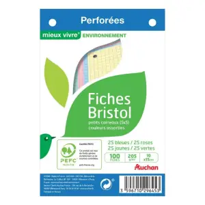 100 fiches Bristol colorées perforées 100x150 mm 5x5 PEFC AUCHAN