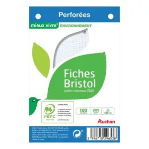 100 fiches Bristol blanches perforées 100x150 mm 5x5 PEFC 205g