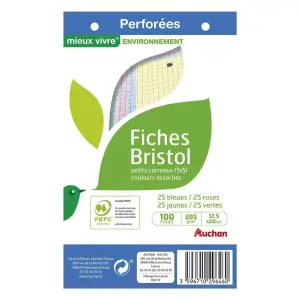 100 fiches Bristol colorées perforées 125x200 mm 5x5 PEFC AUCHAN