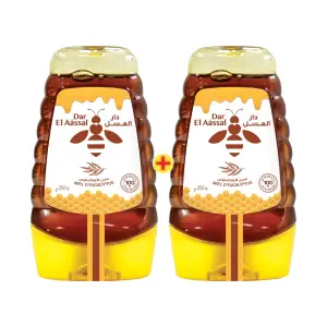 Squeezers miel eucalyptus x2 250g - DAR EL AASSAL