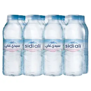 Sidi Ali Eau minérale 12x33cl