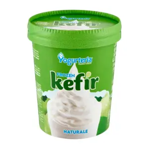 Yaourt glacé kefir sans lactose 500ml - YOUGUTURIA
