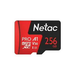 256GB P500 Extreme Pro UHS-I microSDXC Memory Card with SD Adapter (NT02P500PRO-256G-R)