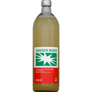 Ginger Beer Bio