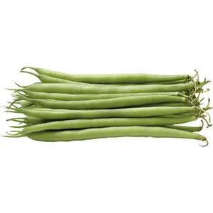 Haricot Vert fin 250g