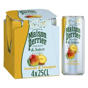 Maison Perrier & Magnetic Juice Boisson Gazeuse Ananas Mangue 4x25cl