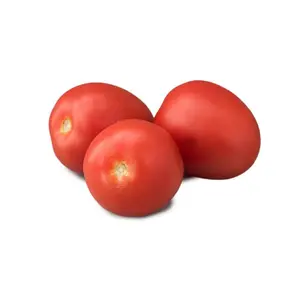 Natoora Tomate Rouge Allongée x3