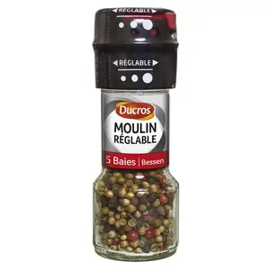 Ducros Moulin Réglable 5 Baies 24g