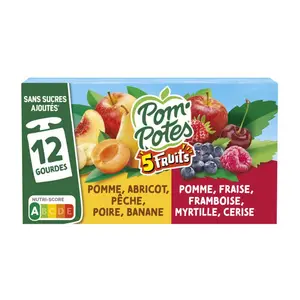 Pom'Potes Sans sucre ajouté 5 fruits 12x90g