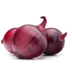 Oignon Rouge 500g