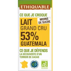 Ethiquable Chocolat Au Lait 53% Bio 100g