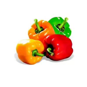 Monoprix Poivron Mixte Bio 500g