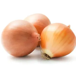 Monoprix Oignon Jaune 50/70 C1 1kg