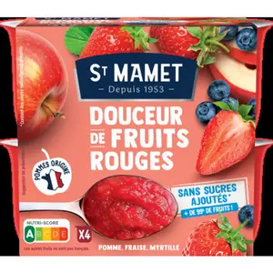 St Mamet Douceur Fruits Rouges sans sucres ajoutés 4x95g