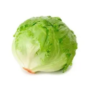 Salade Iceberg