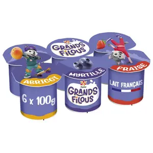 Yoplait Grands Pots Fruits Mixés 6x100g