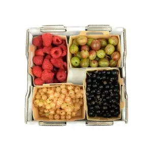 Monoprix fruits rouges de saison 4x125g