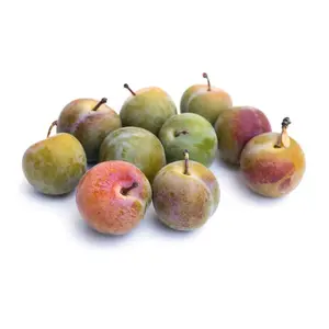 Natoora Reine Claude Prunes 250g