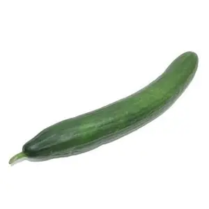 Concombre Bio 1 pièce