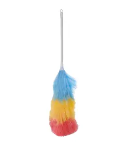 Brosse à poussière