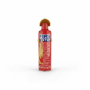 EXTINCTEUR 400GR